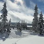 Feriehjemmet Дом отдыха *